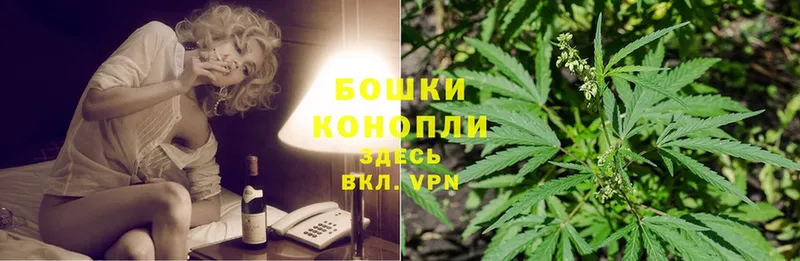 МАРИХУАНА SATIVA & INDICA  Муром 